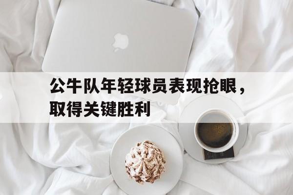 公牛队年轻球员表现抢眼,取得关键胜利的简单介绍